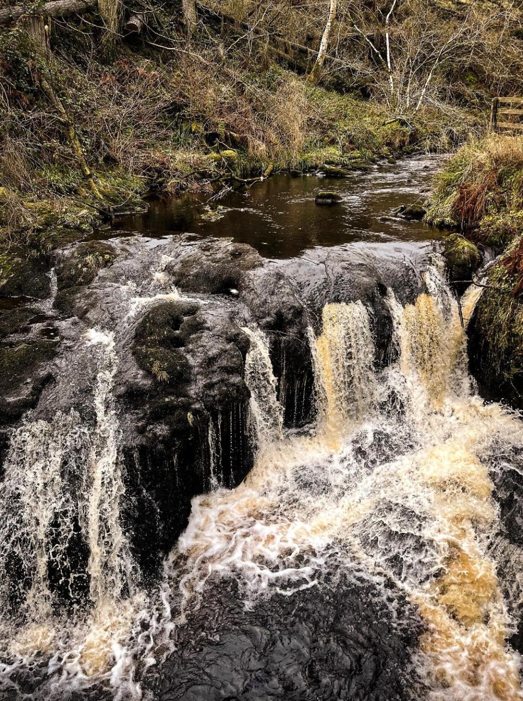 Glenariff Forest Evergreen Lodge Esterno foto